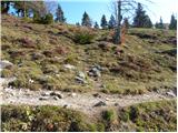 Kraljev hrib - Gradišče (Velika planina)